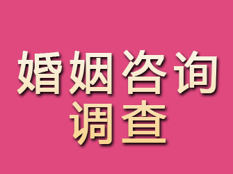 新宁婚姻咨询调查