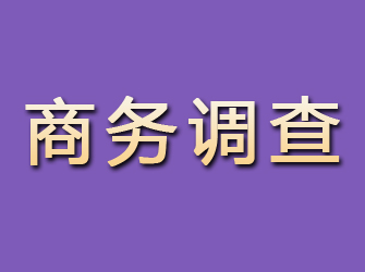 新宁商务调查